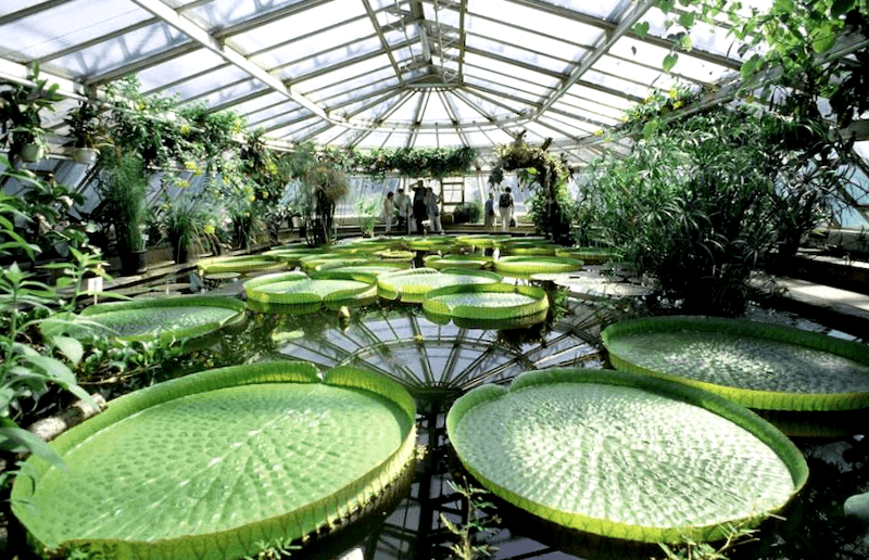 Visitar Botanischer Garten