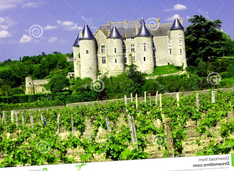 Conocer Francia y descubrir de Castillo de Luynes
