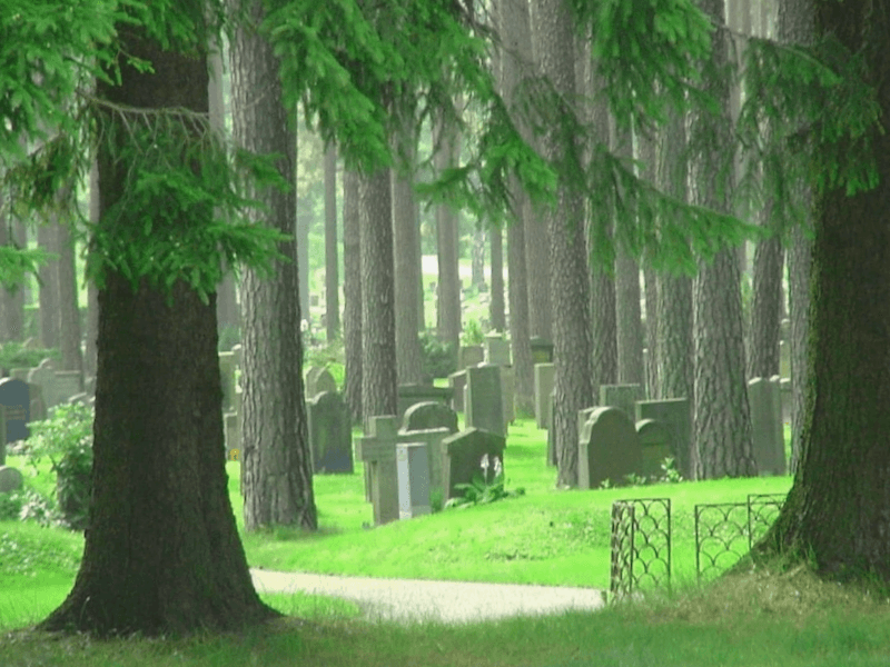Que visitar en Cementerio Skogskyrkgarden