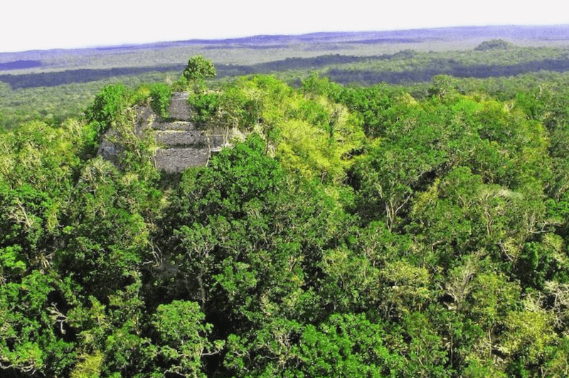 Ciudad maya El Mirador que descubrir