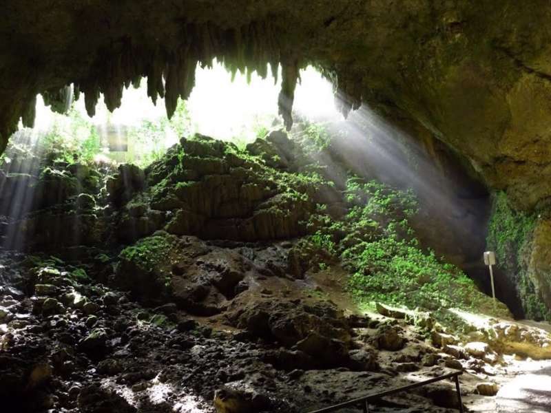 Visitar Puerto rico y maravillarse de Cuevas del rA­o Camuy