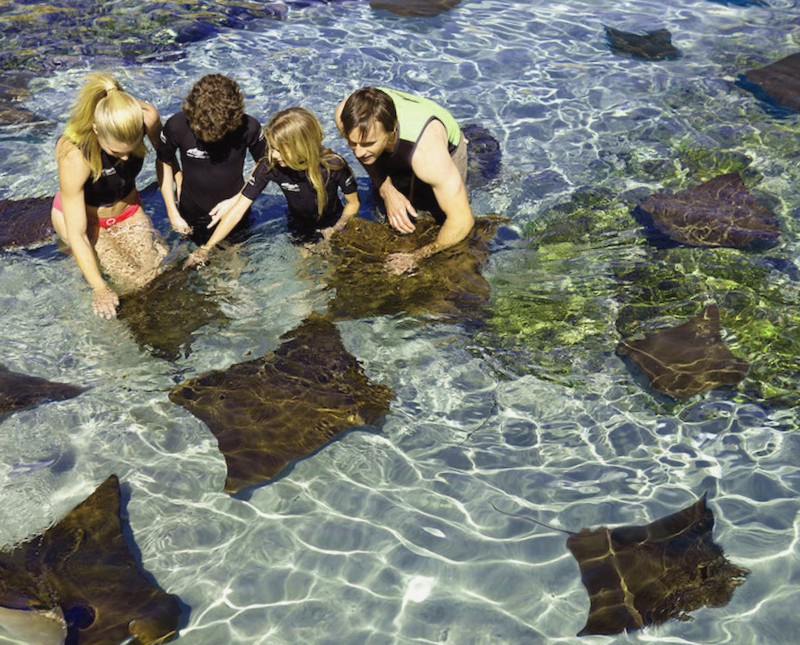 Conocer Discovery Cove