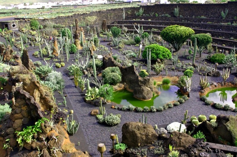 Jardin del Cactus de Lanzarote que debemos ver