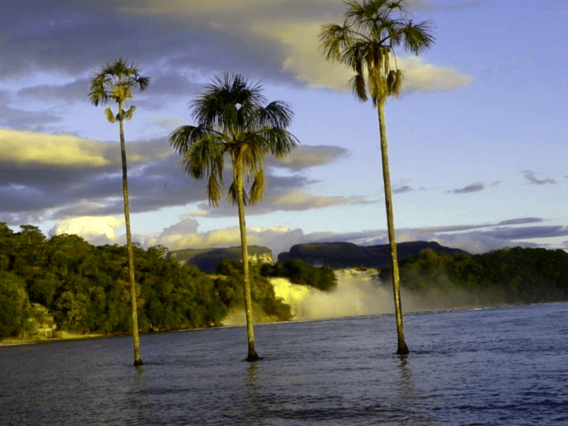 Ver Venezuela y descubrir de Laguna de Canaima al atardecer
