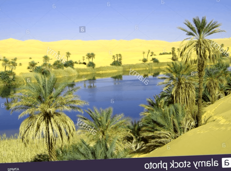 Oasis de Umm al-Maa que ver