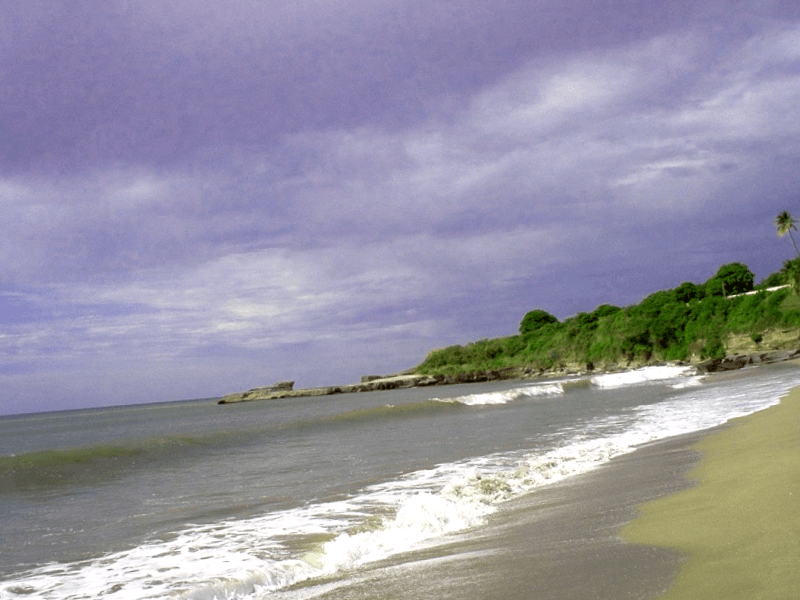 Playa de Montelimar que ver