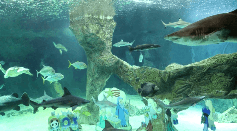 Conocer España y maravillarse de Zoo Aquarium