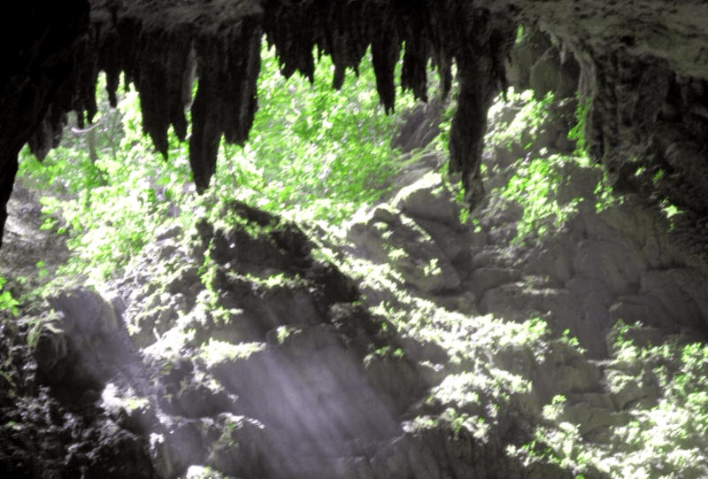 Cuevas del rA­o Camuy que debemos ver