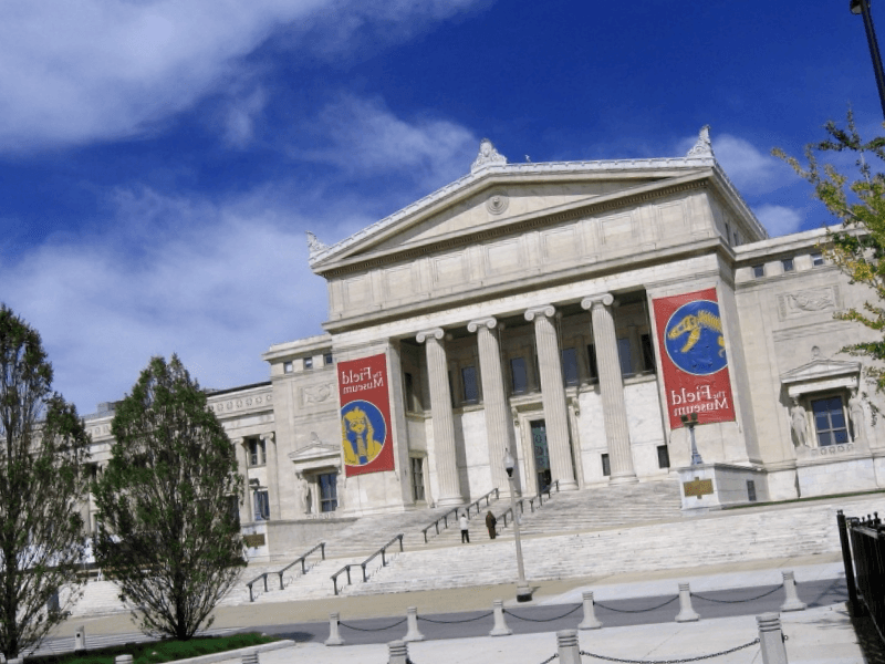 Visitar Estados unidos y maravillarse de Field Museum