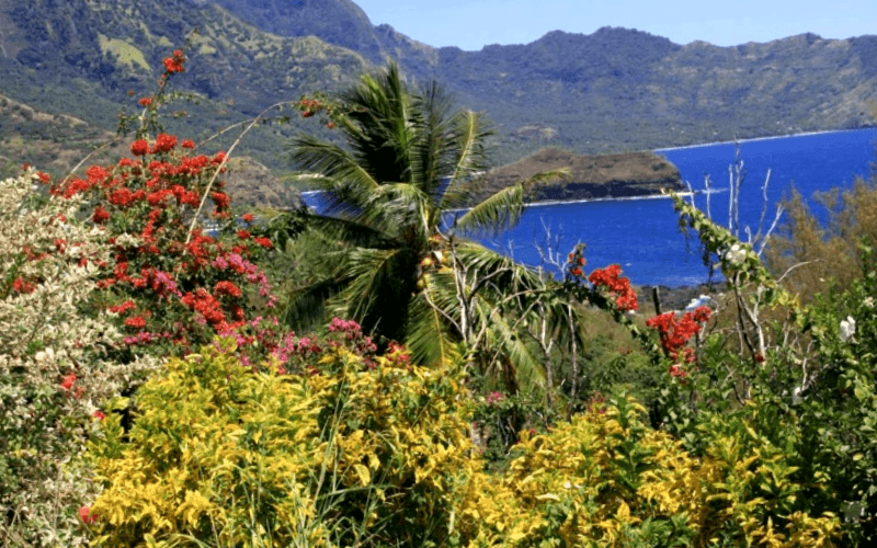 Ver Polinesia francesa y descubrir de Hiva Oa