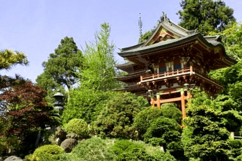 Visitar Estados unidos y descubrir de Jardin de Te japones