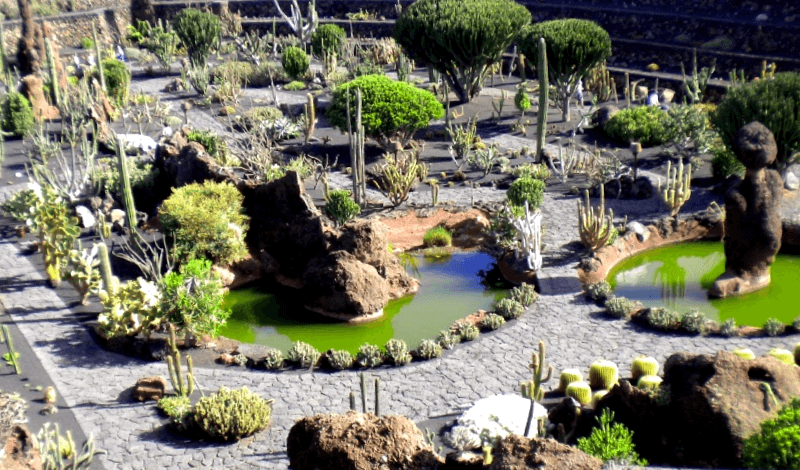 Jardin del Cactus de Lanzarote que visitar