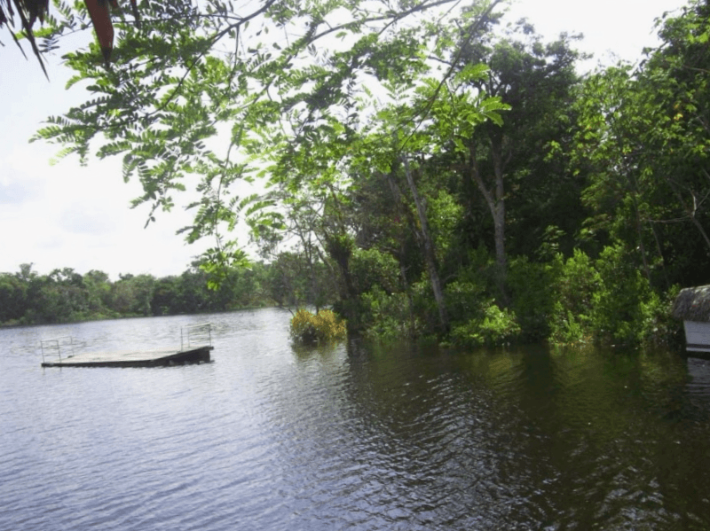 Lago Zungarococha que ver