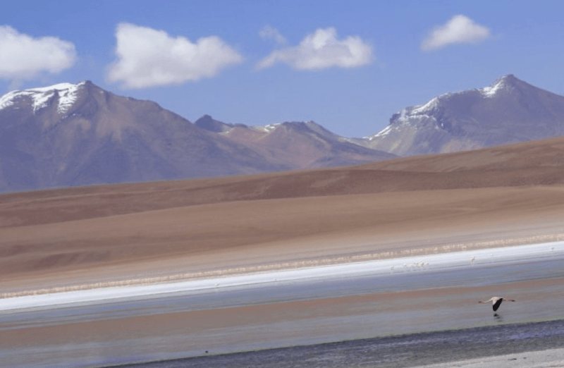 Conocer Bolivia y descubrir de Laguna Kala