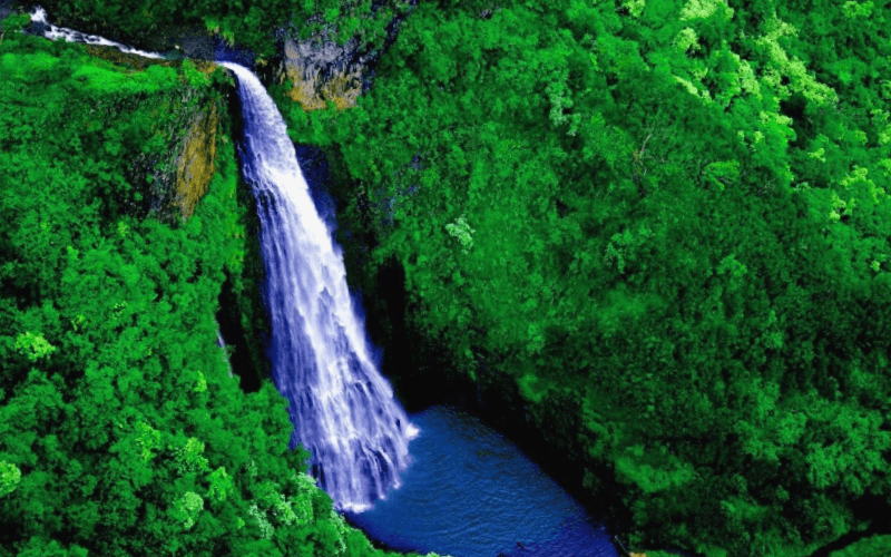 Manawaiopuna Falls que descubrir