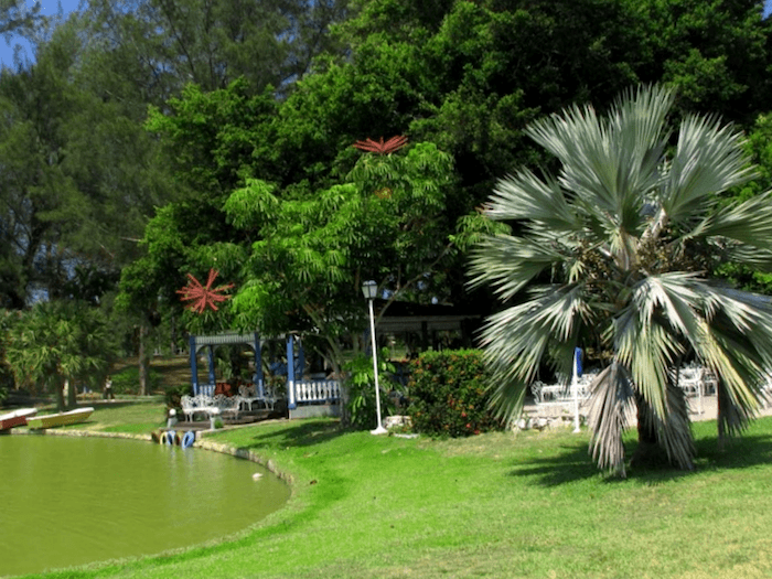 Ver Cuba y descubrir de Parque Josone