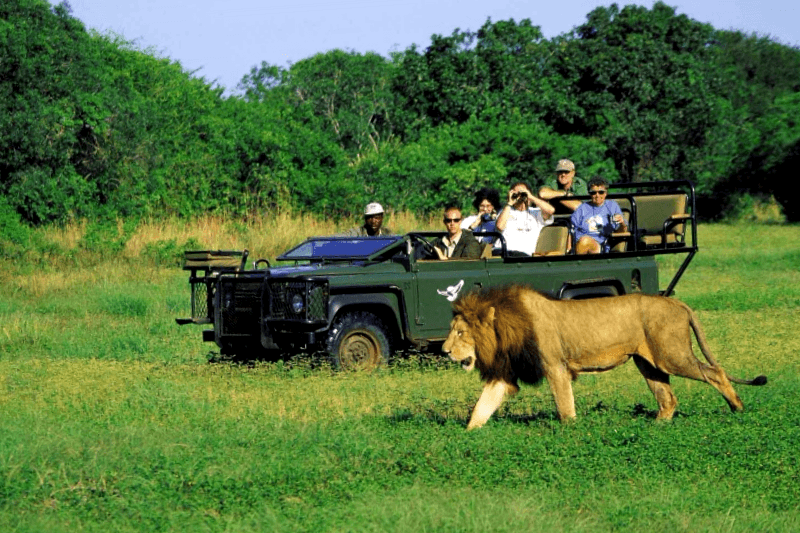 Que ver en Parque Nacional Kruger