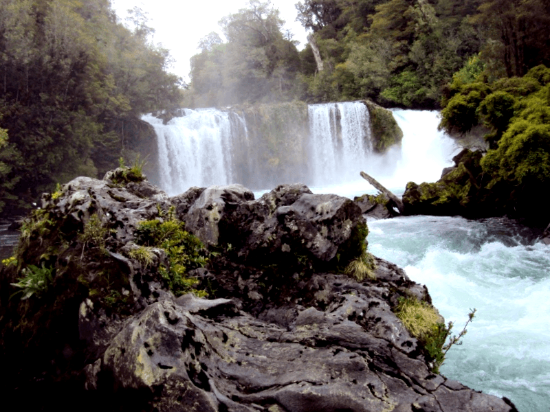 Visitar Parque Nacional Puyehue