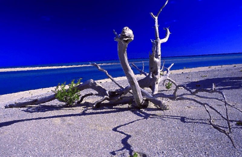 Que ver en Playa de Tikehau