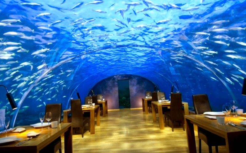 Conocer Israel y maravillarse de Restaurante Red Sea Star