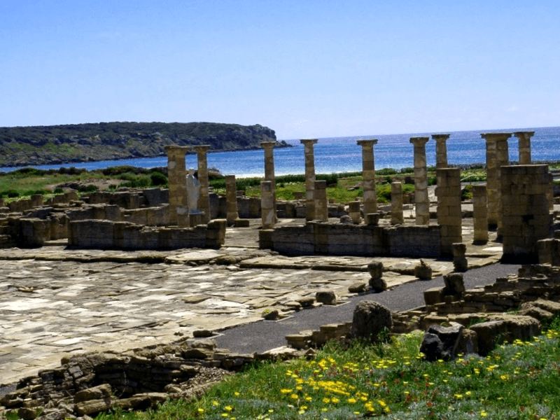 Que descubrir en Ruinas romanas de Baelo Claudia