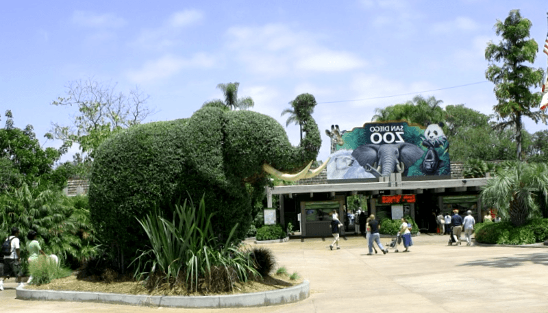 Visitar San Diego zoo
