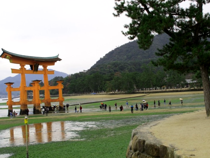 Que visitar en Santuario de Itsukushima