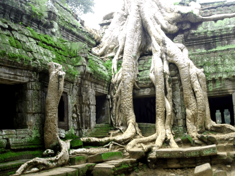 Visitar Camboya y descubrir de Templo de Ta Phrom