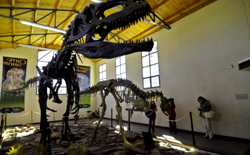 Conocer Argentina y descubrir de Valle de los dinosaurios